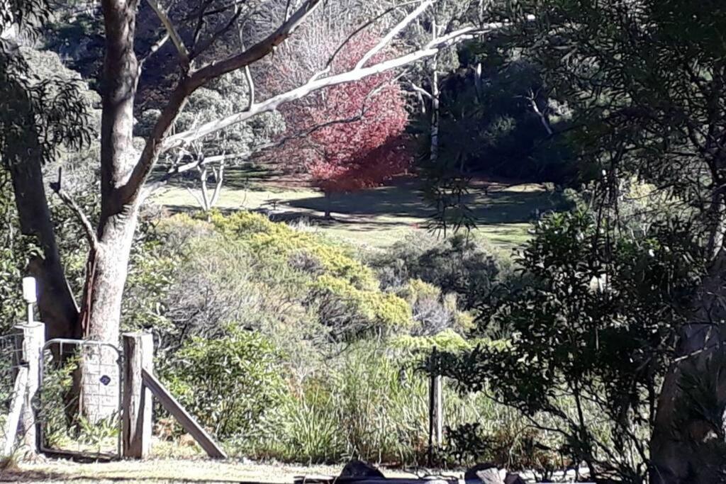 Katoomba Falls Cottage Bagian luar foto